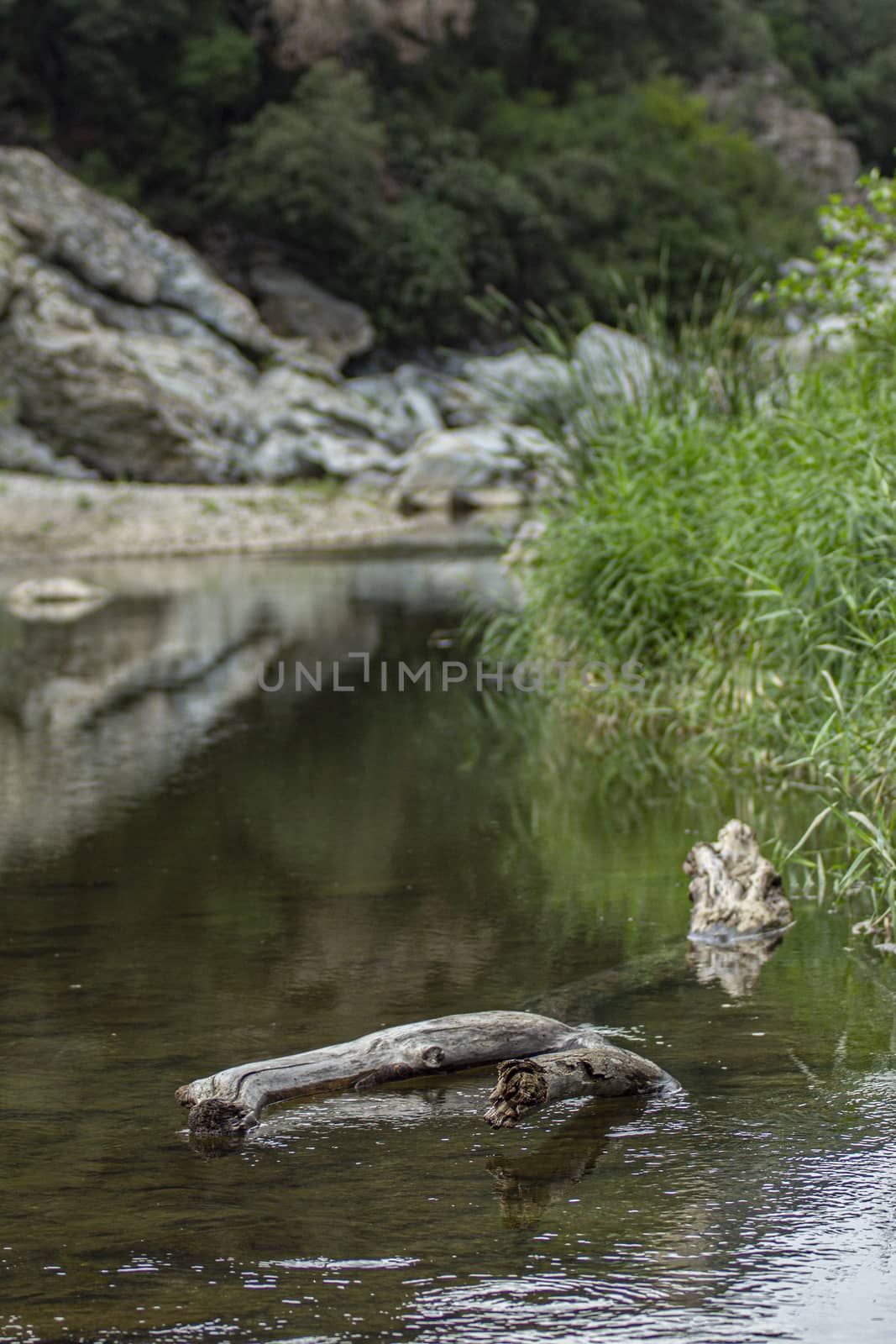 Natural drip in Sardinia 9 by pippocarlot