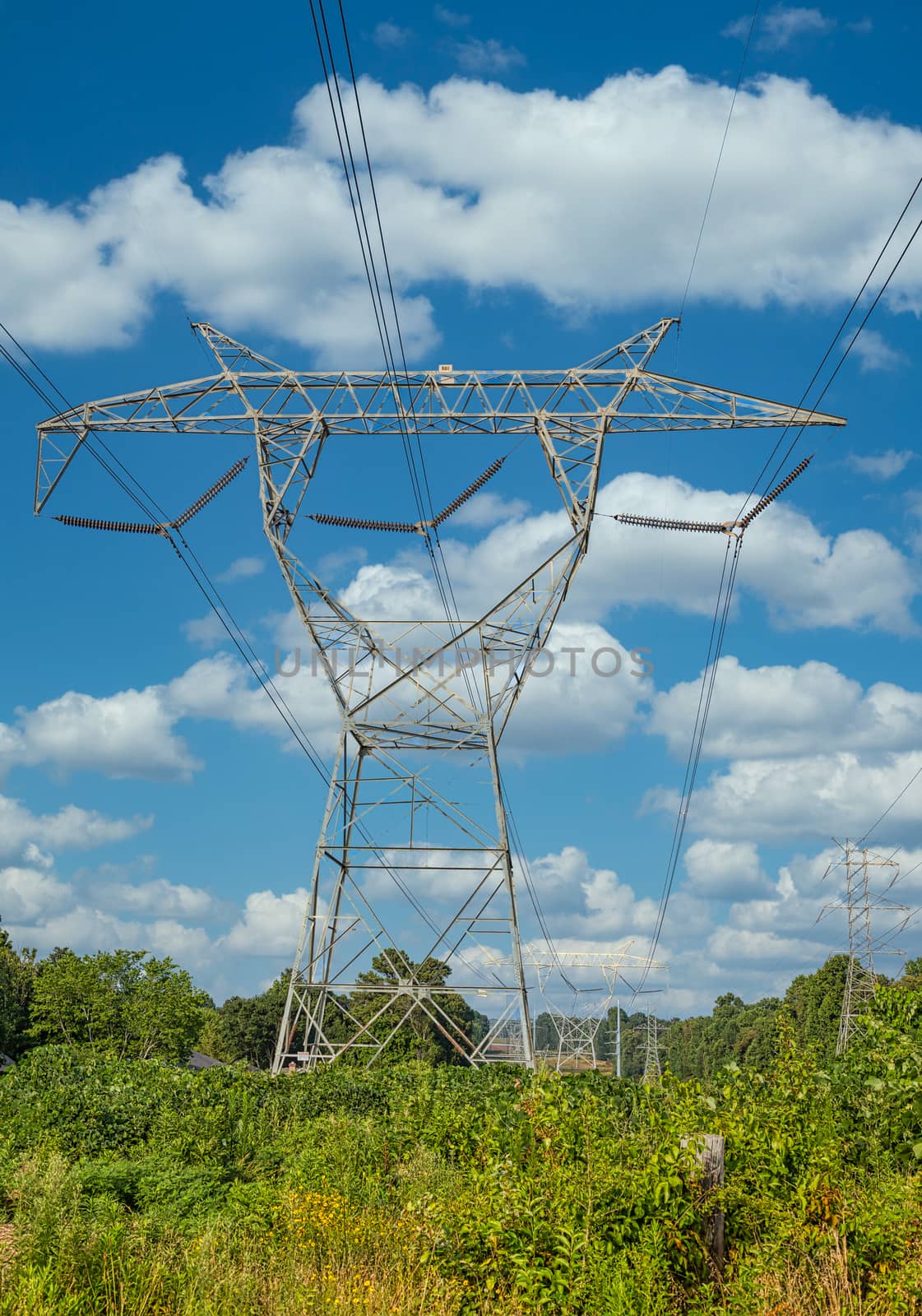 High Power LInes in Midst of Green Trees
