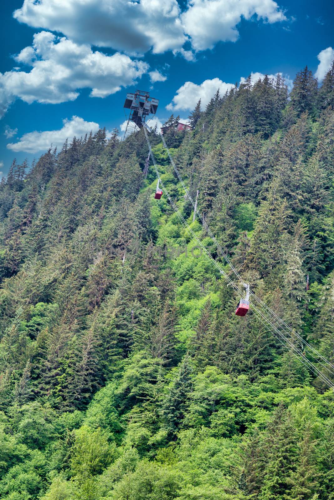 Juneau Cable Cars over Evergreens by dbvirago