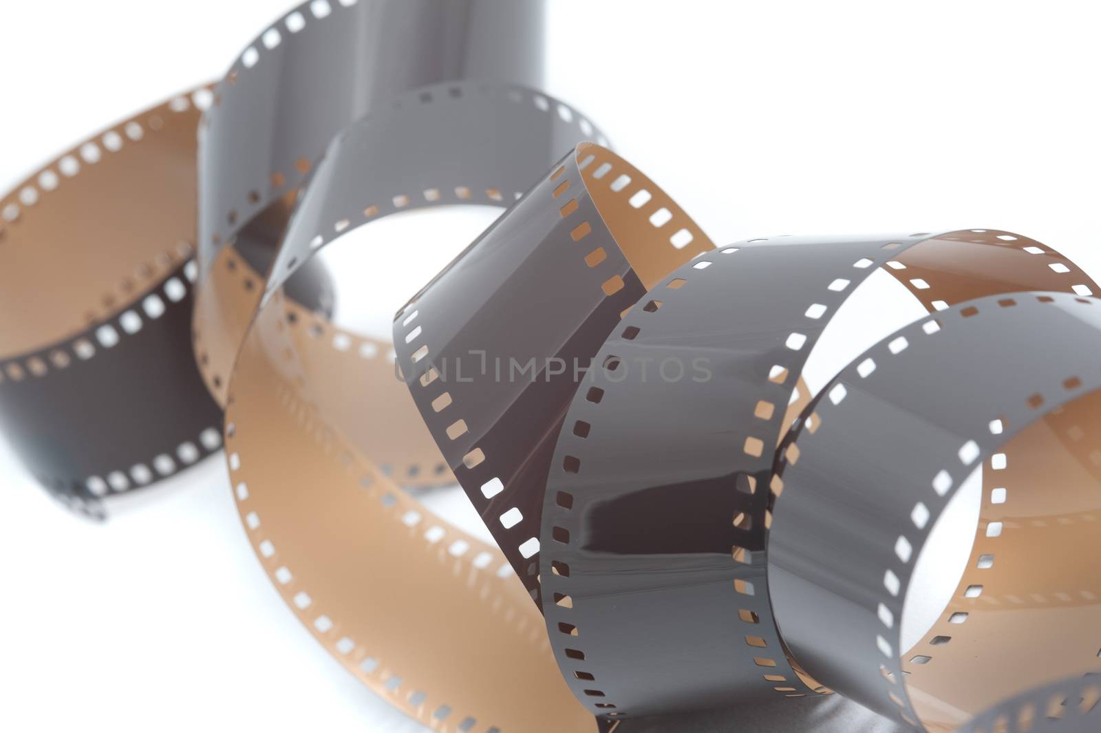 Coiled spiral of old 35mm film negatives with developed frames and sockets on a white background in a photography concept