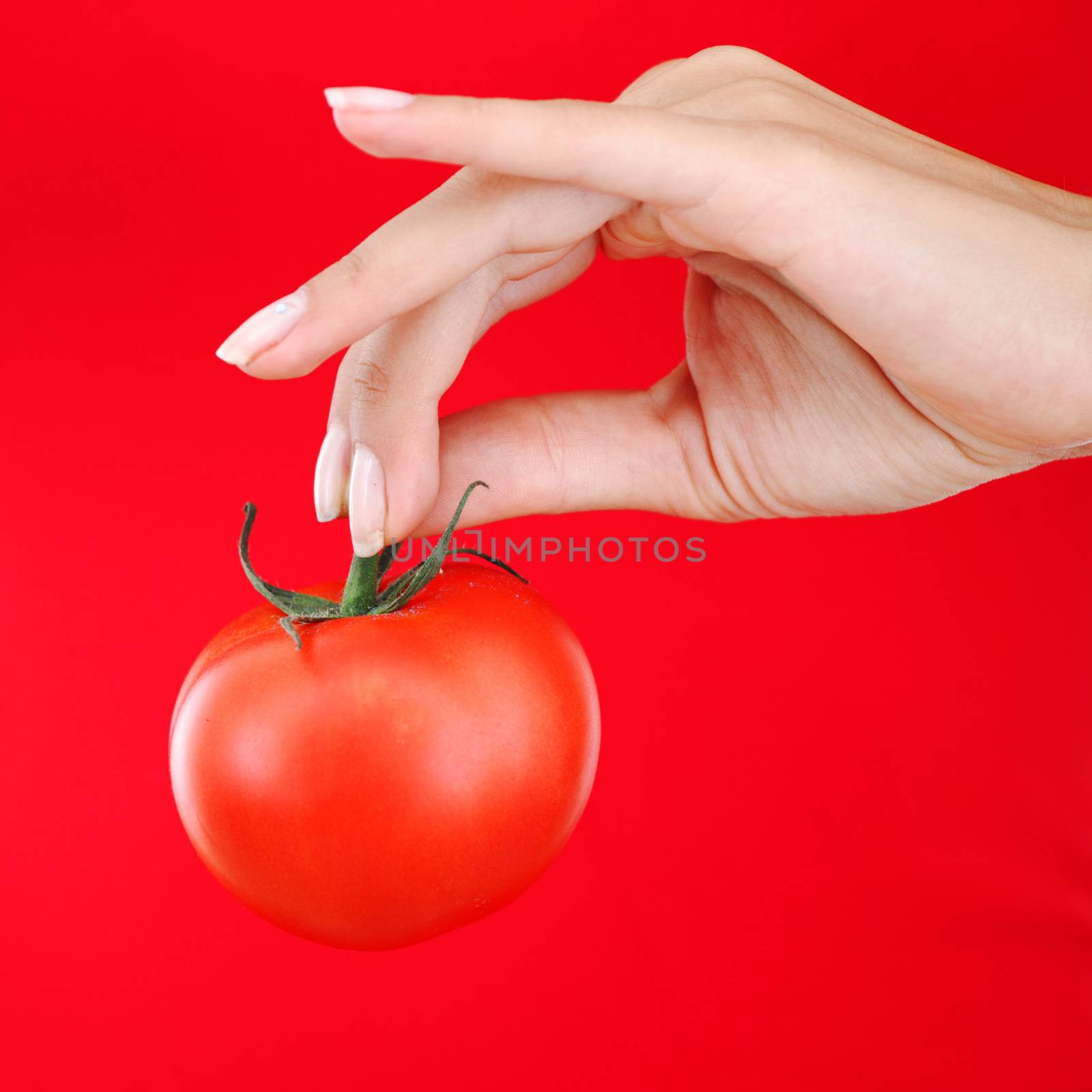 Tomato in woman hand by Yellowj