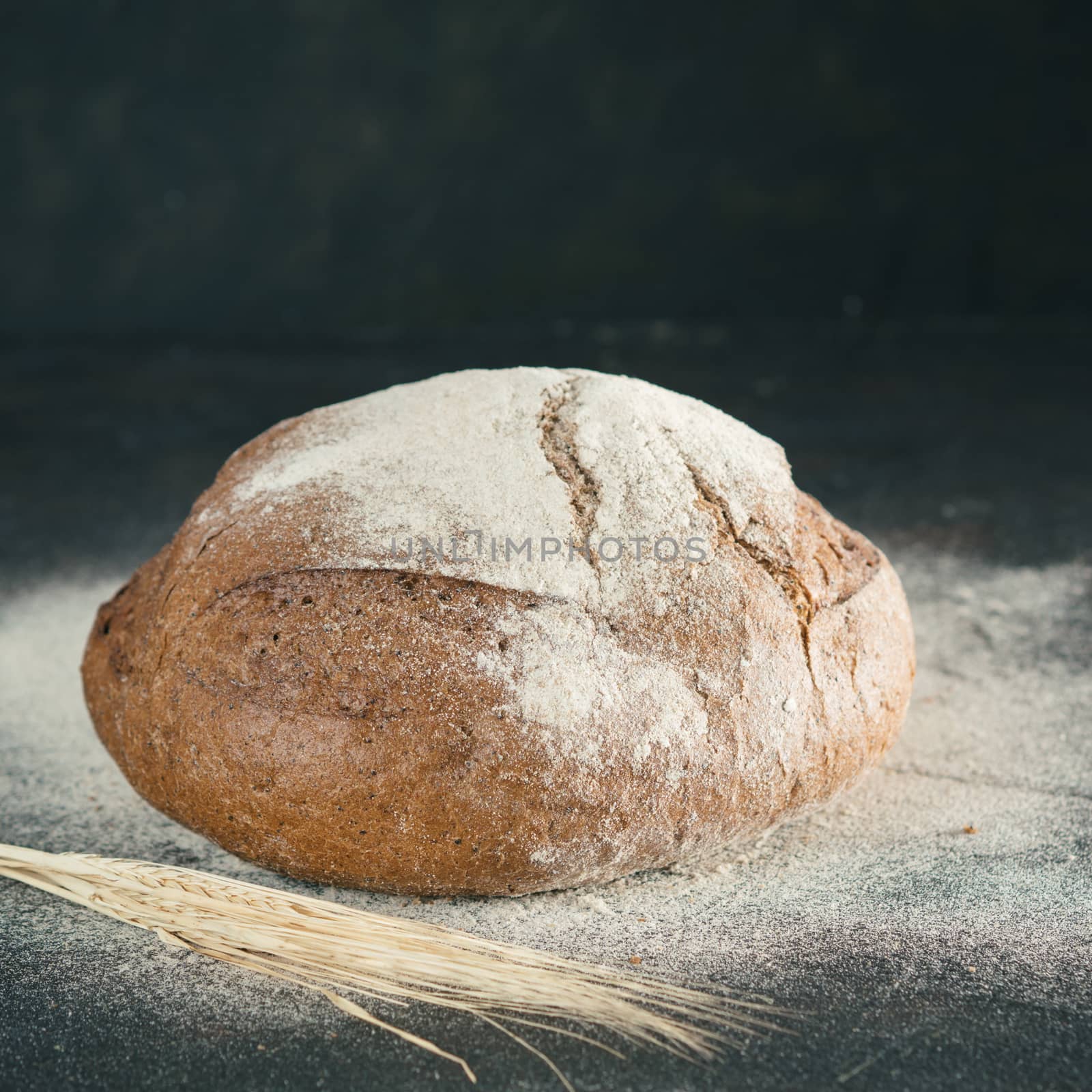 Whole homemade sourdough rye bread with rye spike and rye flour and on black textured background. Copy space. Low key