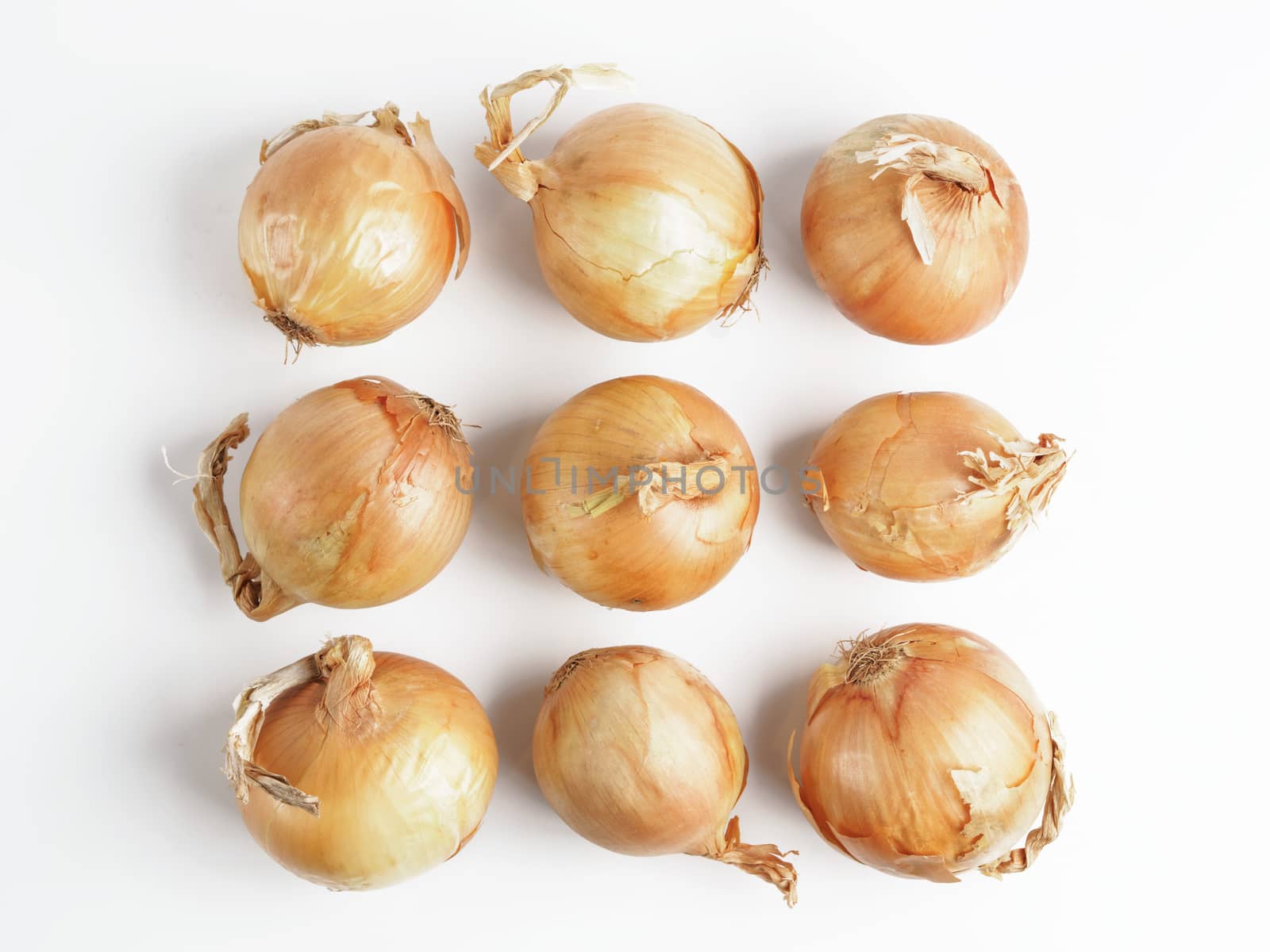 Onion seamless pattern isolated on white with clipping path. Top view or flat-lay.