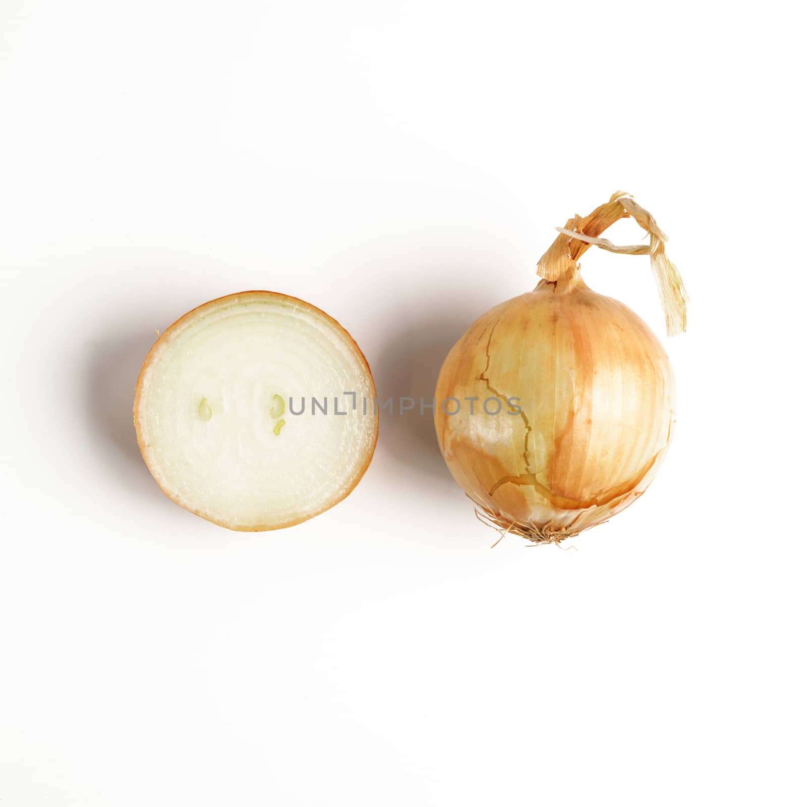 Onion isolated on white by fascinadora
