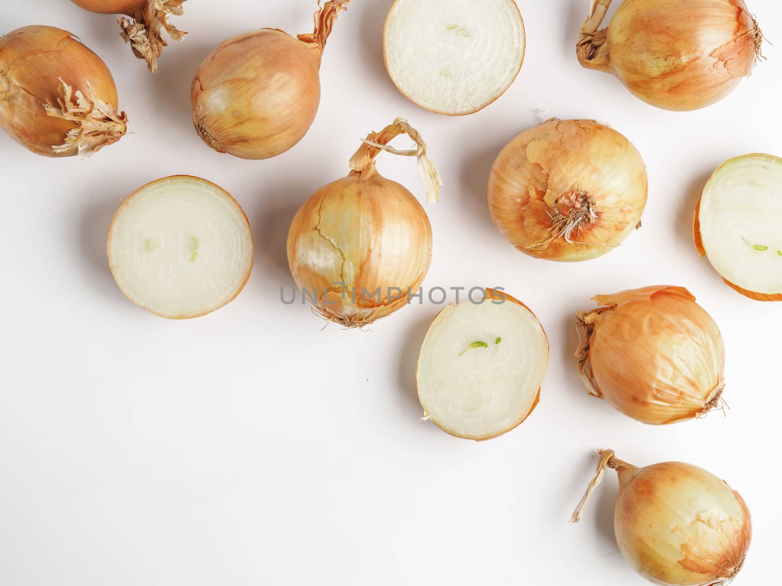 Onion seamless pattern isolated on white by fascinadora