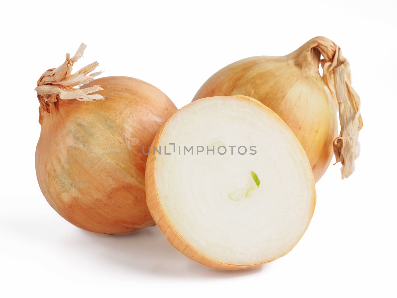 Onion isolated on white by fascinadora