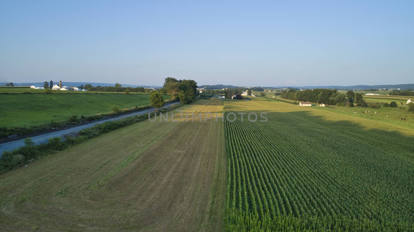 Aerial view of farm lands and corn crop with a train right of way in late afternoon