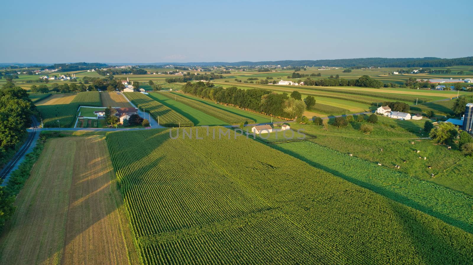 Aerial view of farm lands and corn crop and fields and a one room school house in late afternoon