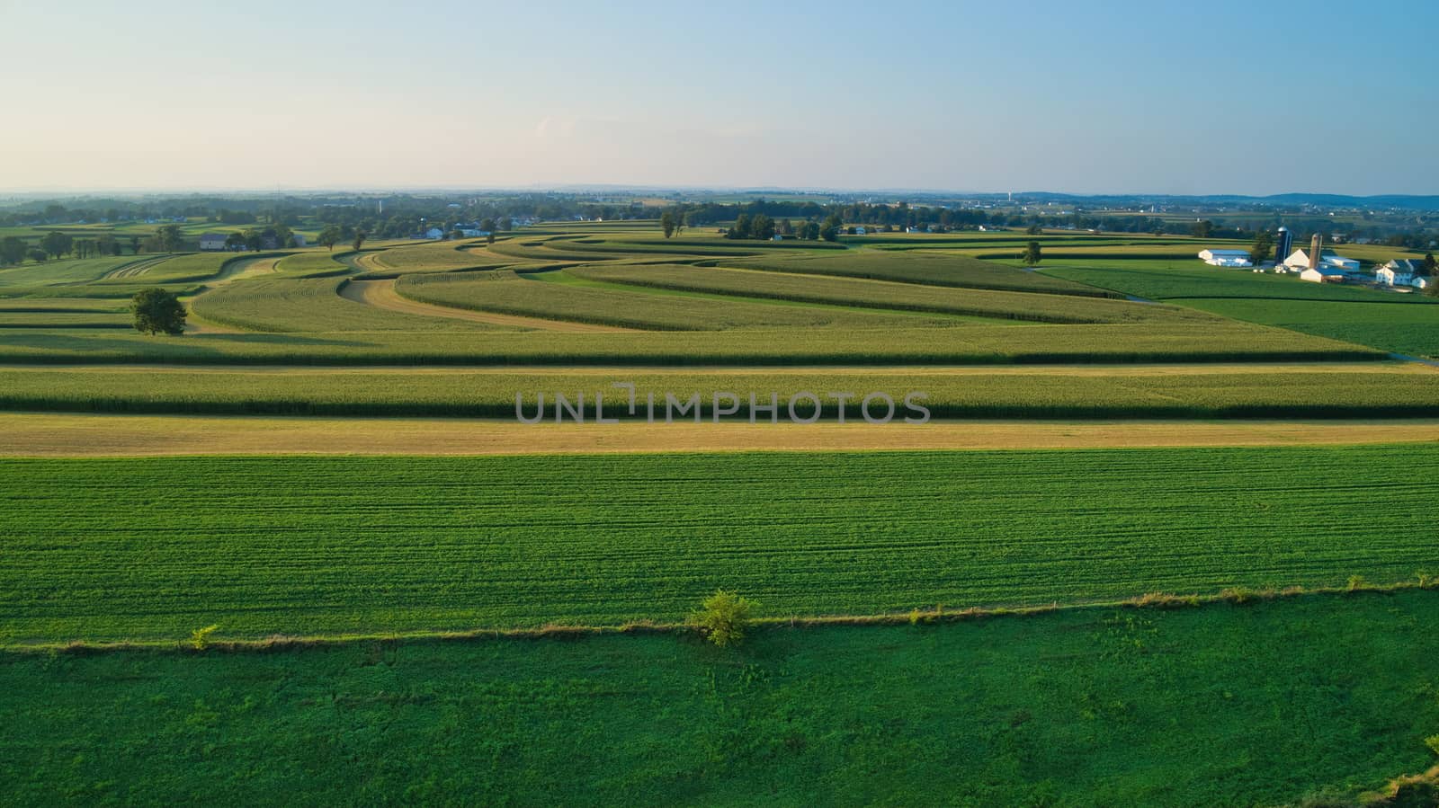Aerial view of farm lands and corn crop and fields in late afternoon