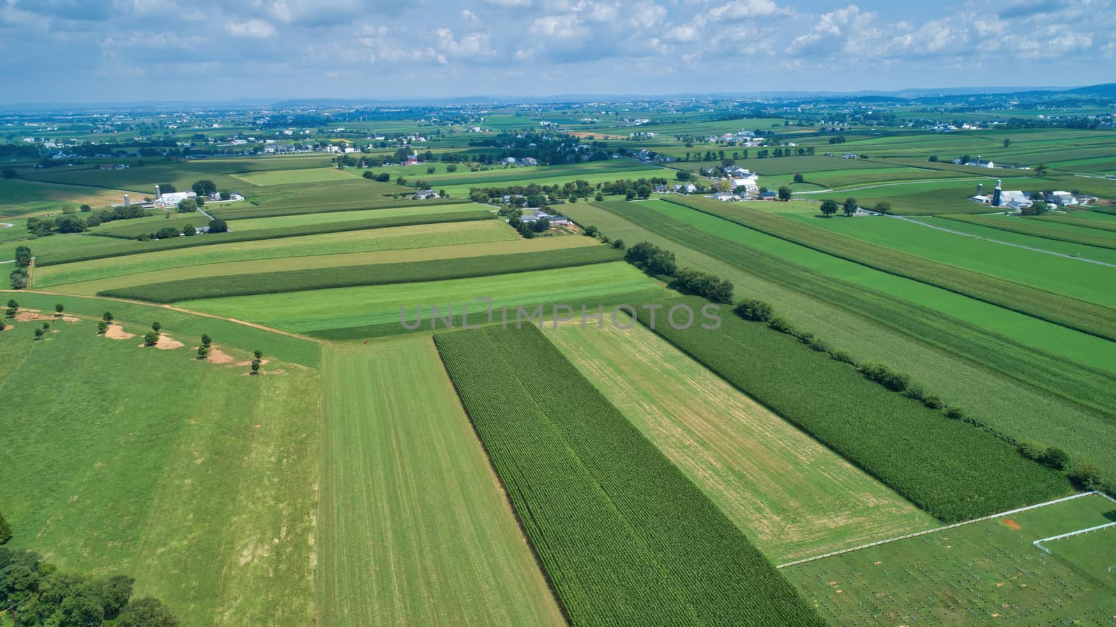 Aerial view of farm lands in summer with blue skies and white fluffy clouds