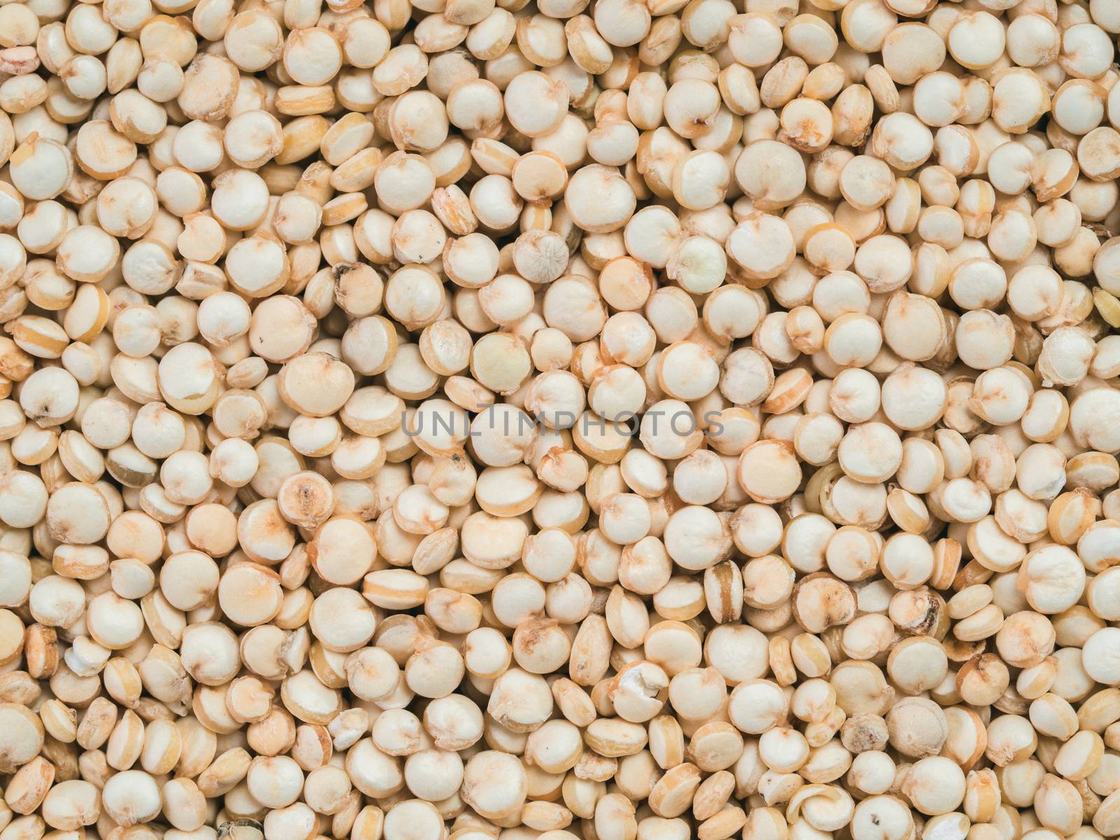 Grain of quinoa. Uncooked raw quinoa as background. Healthy vegan food concept and pattern