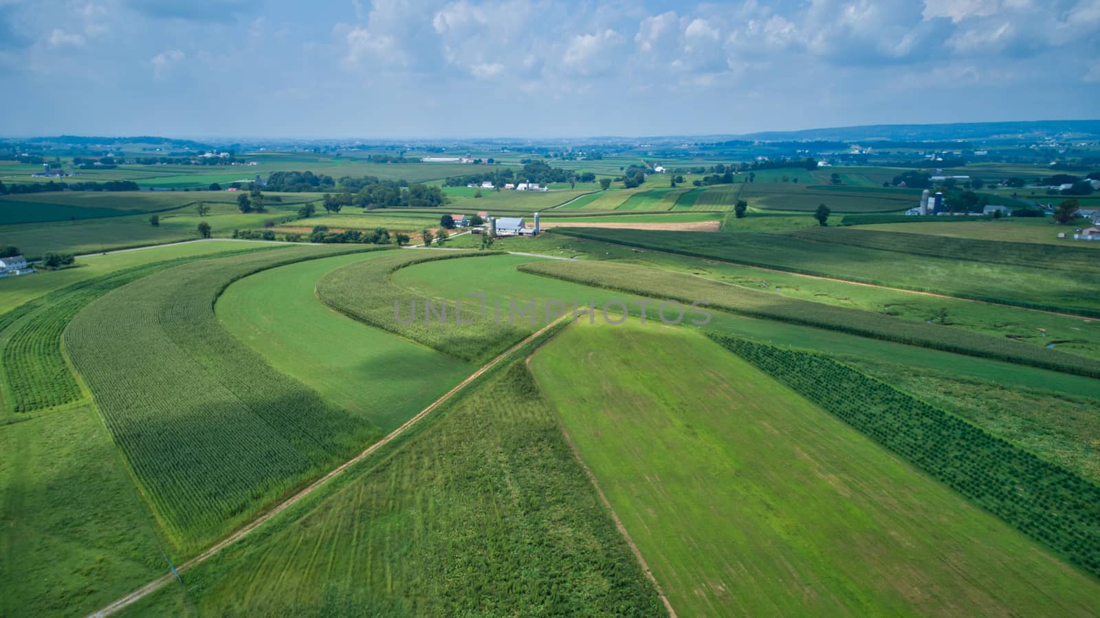 Aerial view of green farmlands and rolling crops growing on a beautiful sky on a sunny countryside