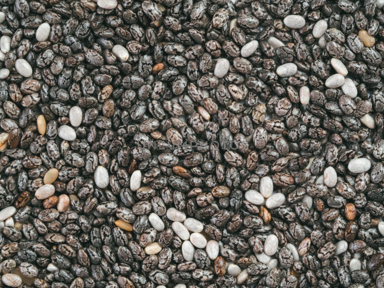 Chia seeds background by fascinadora