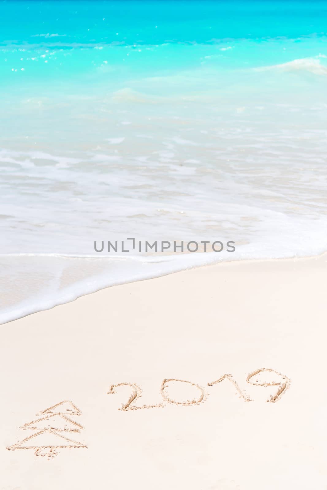 2019 and firtree painting on sandy white beach by travnikovstudio
