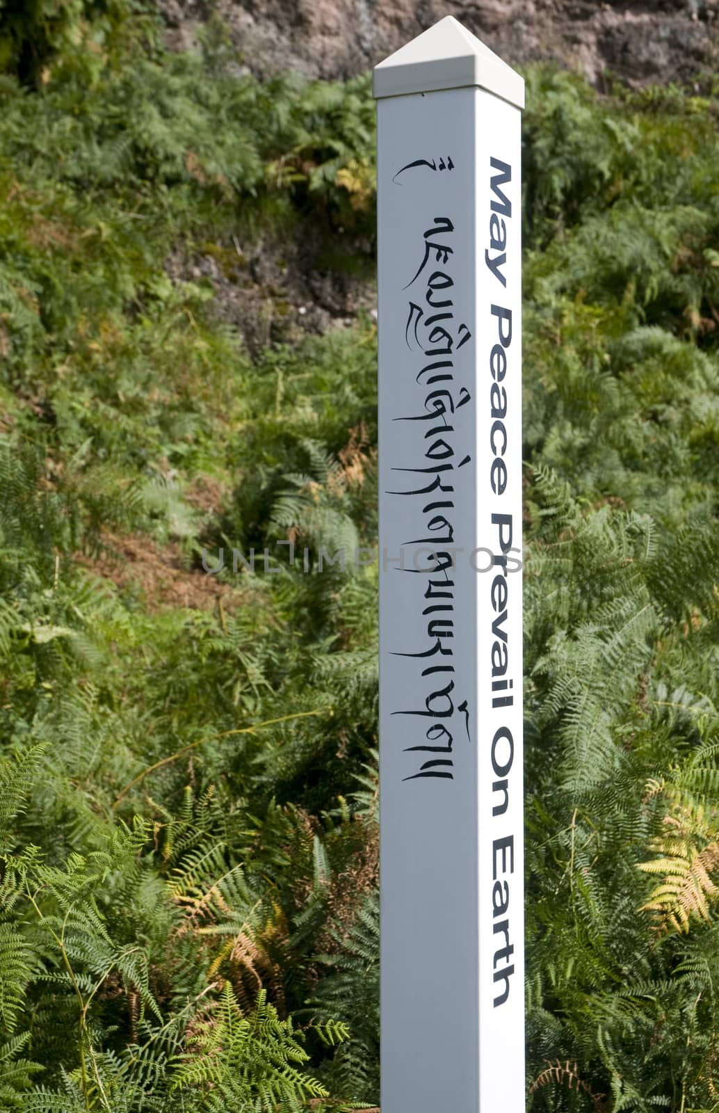 A pole with a Buddhist inscription