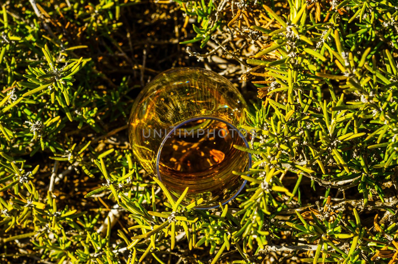 single malt whisky  in glass on plants on the rock, drink on a  natural stone, tasty set