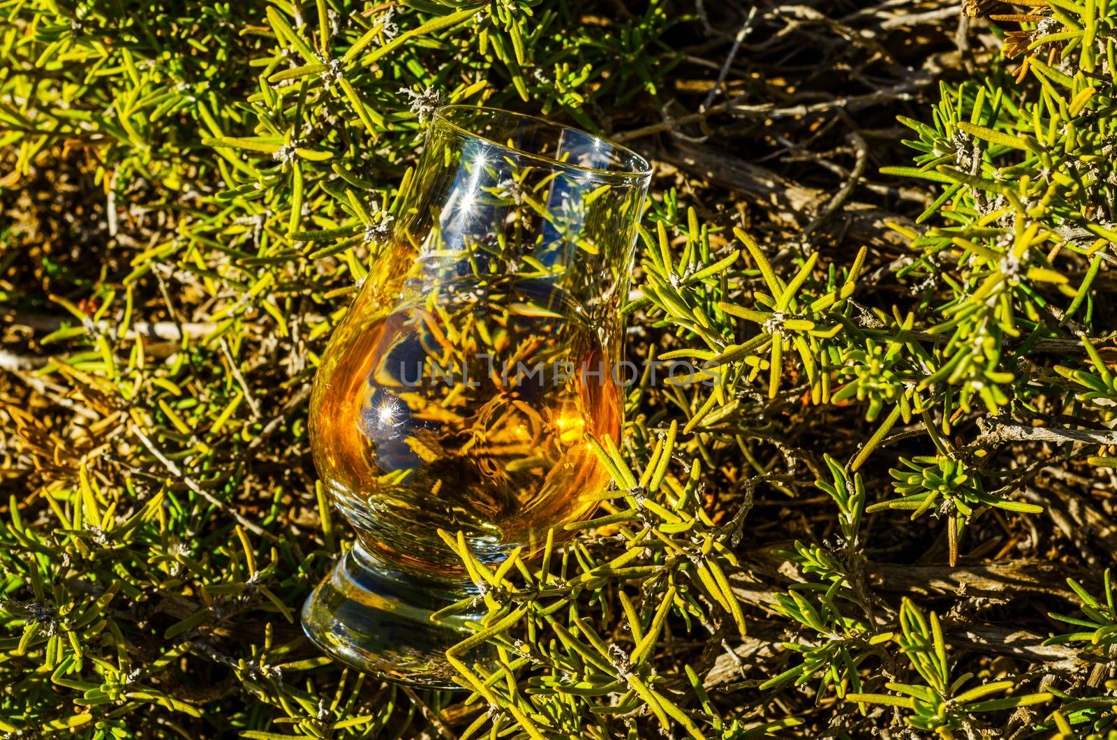 single malt whisky  in glass on plants on the rock, drink on a  natural stone, tasty set