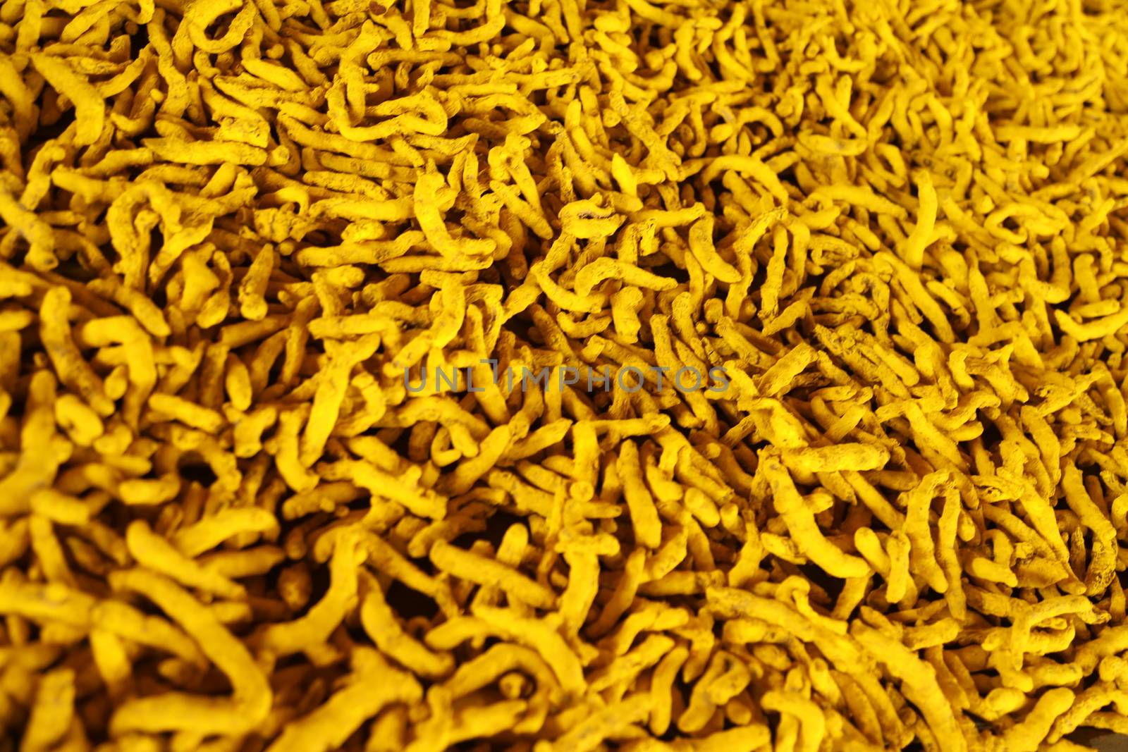 Raw Turmeric Roots