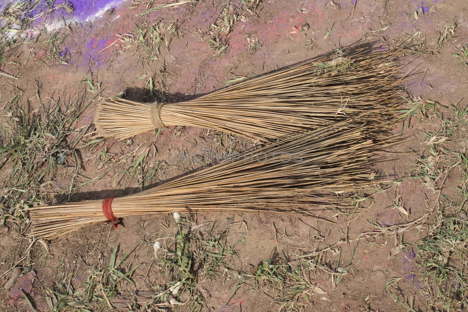 Rural area India