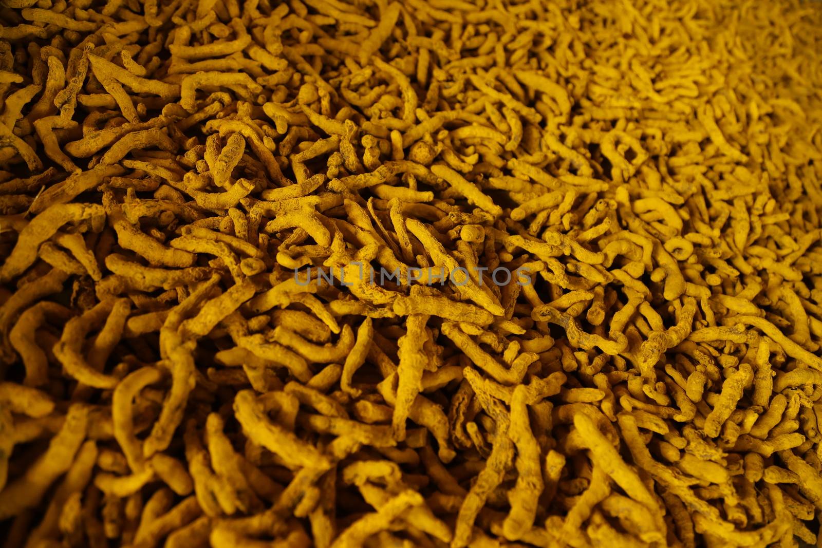 Raw Turmeric Roots
