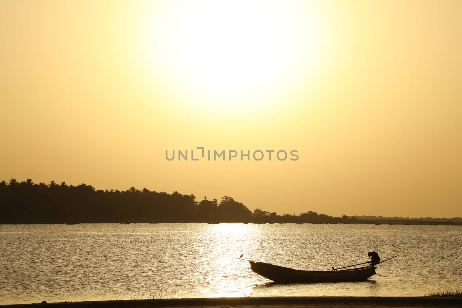 Rural area India
