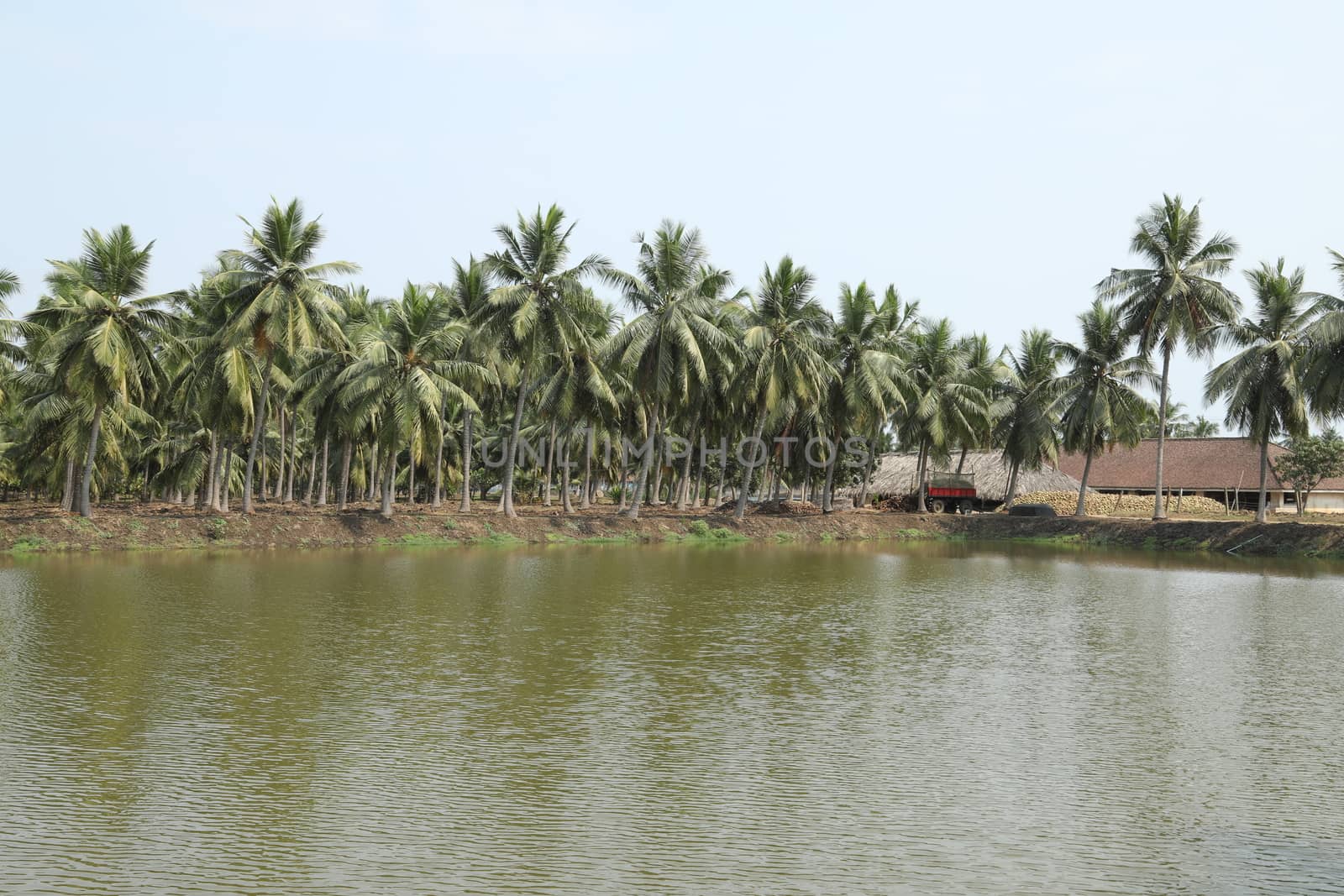 Rural area India