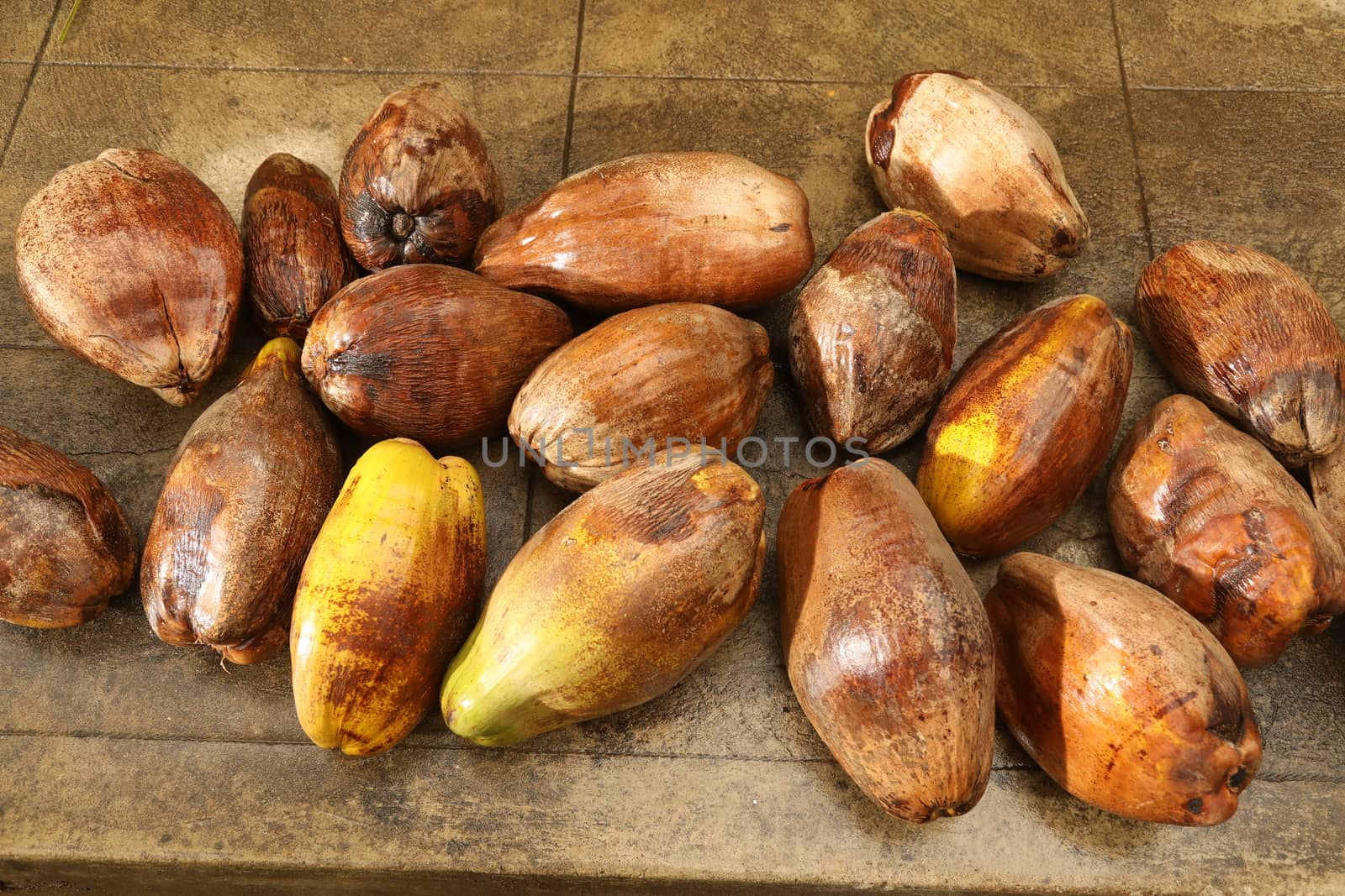 Closeup of a Coconuts