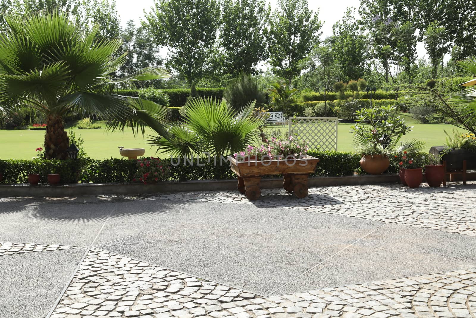 Holiday Resort India