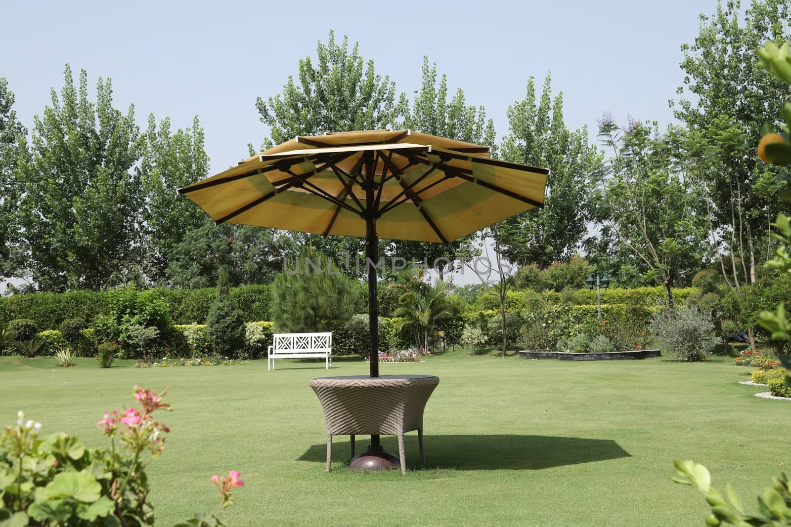 Holiday Resort India