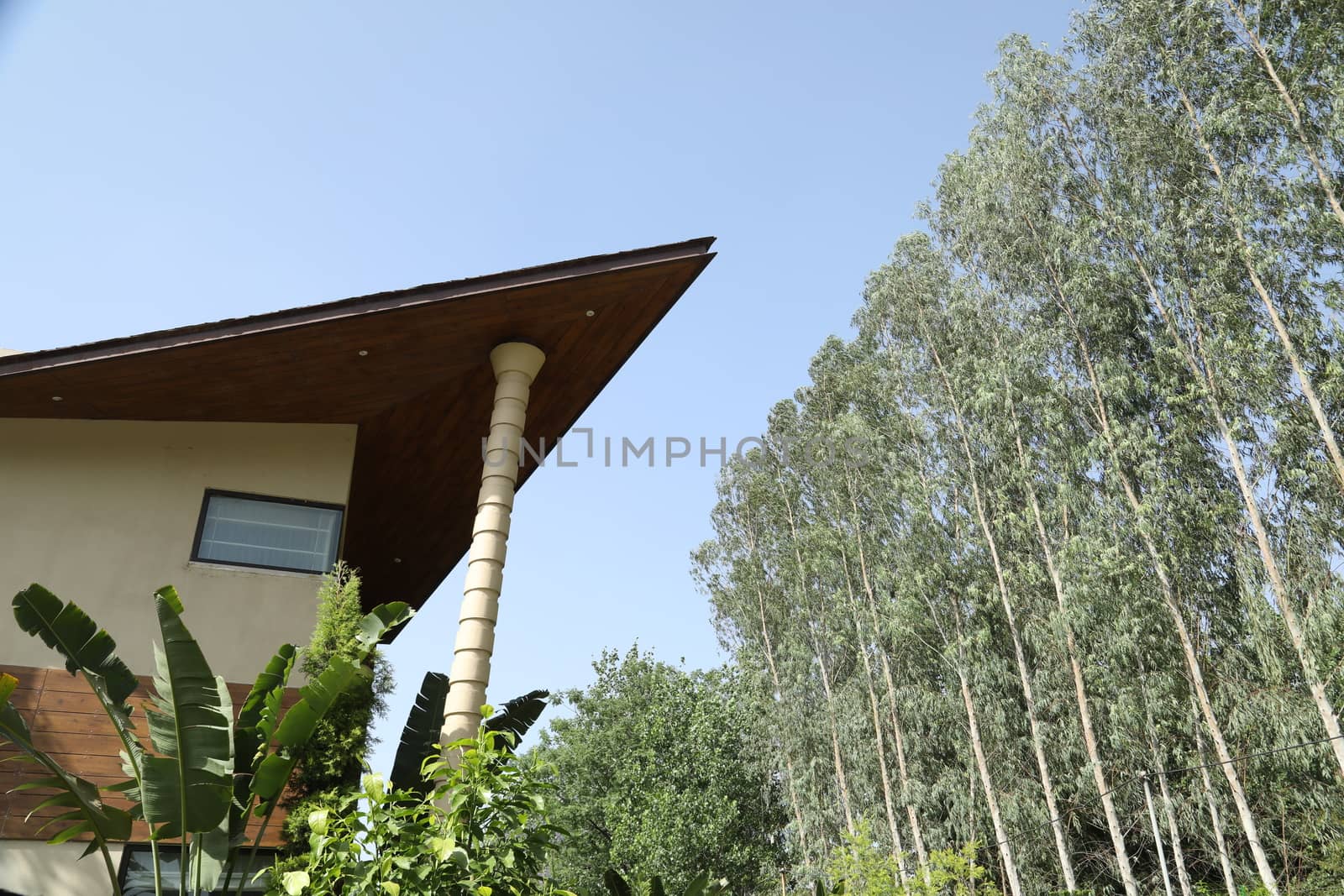 Holiday Resort India