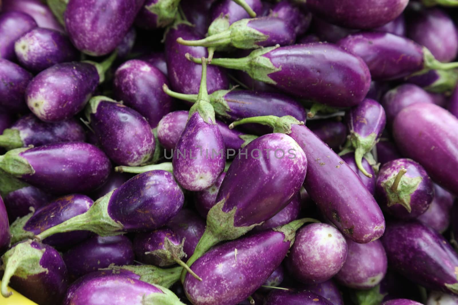 Vegetables close up