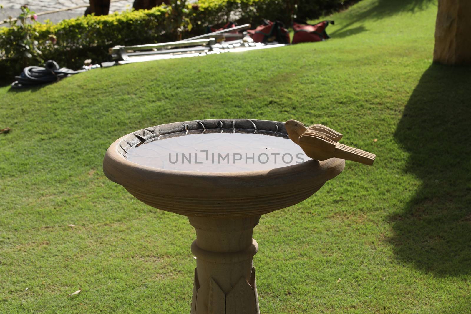 Holiday Resort India