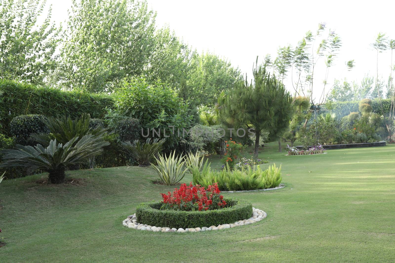 Holiday Resort India