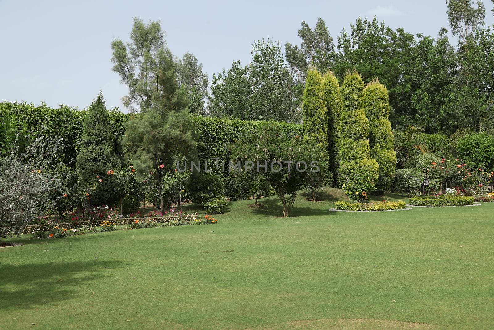 Holiday Resort India