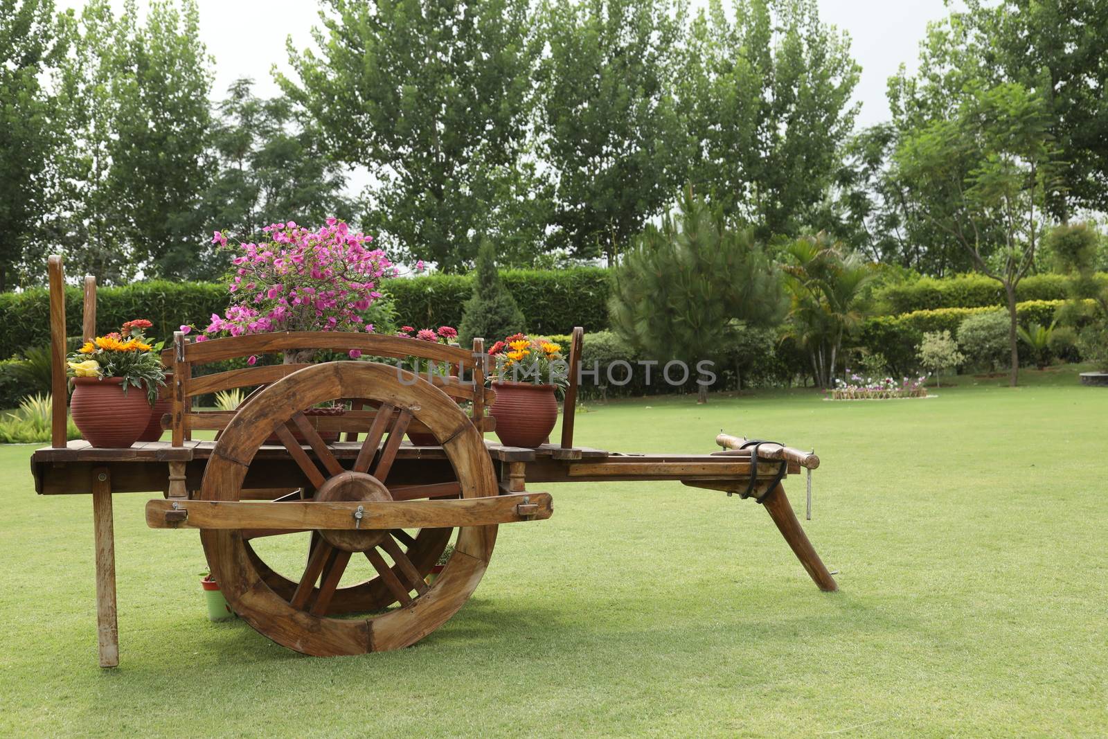 Holiday Resort India