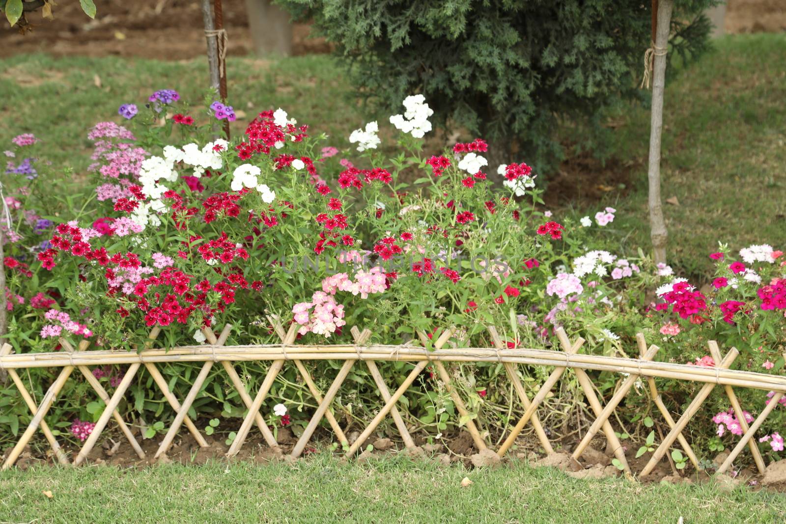 Holiday Resort India