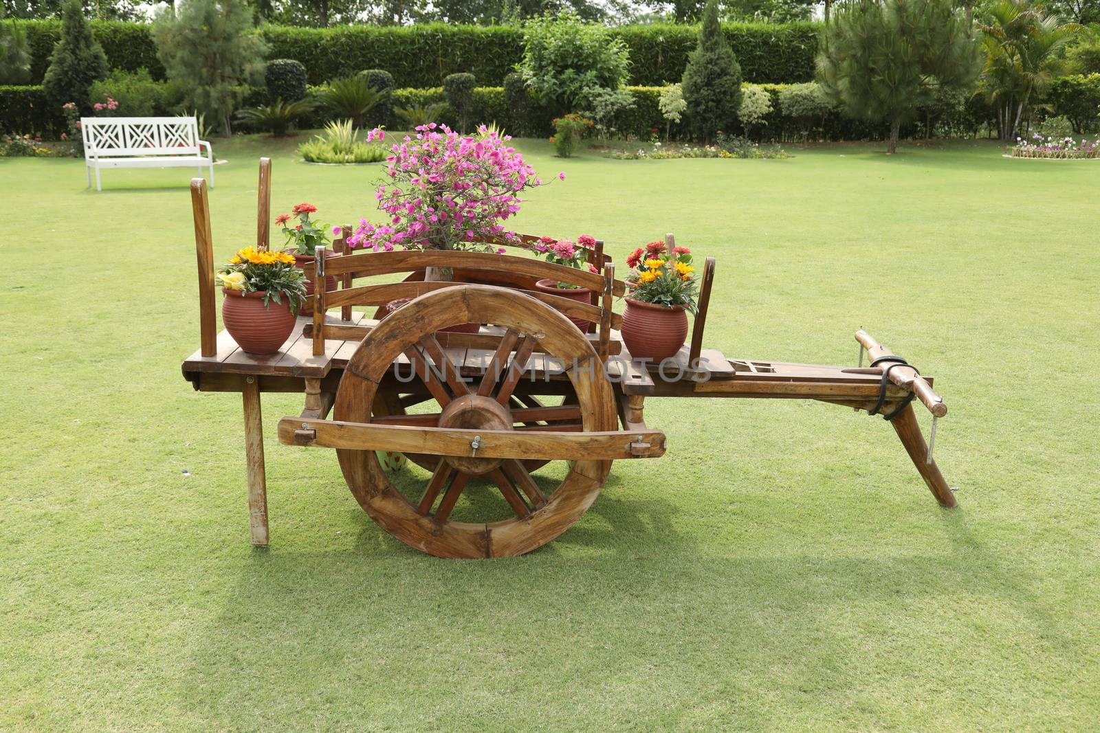 Holiday Resort India