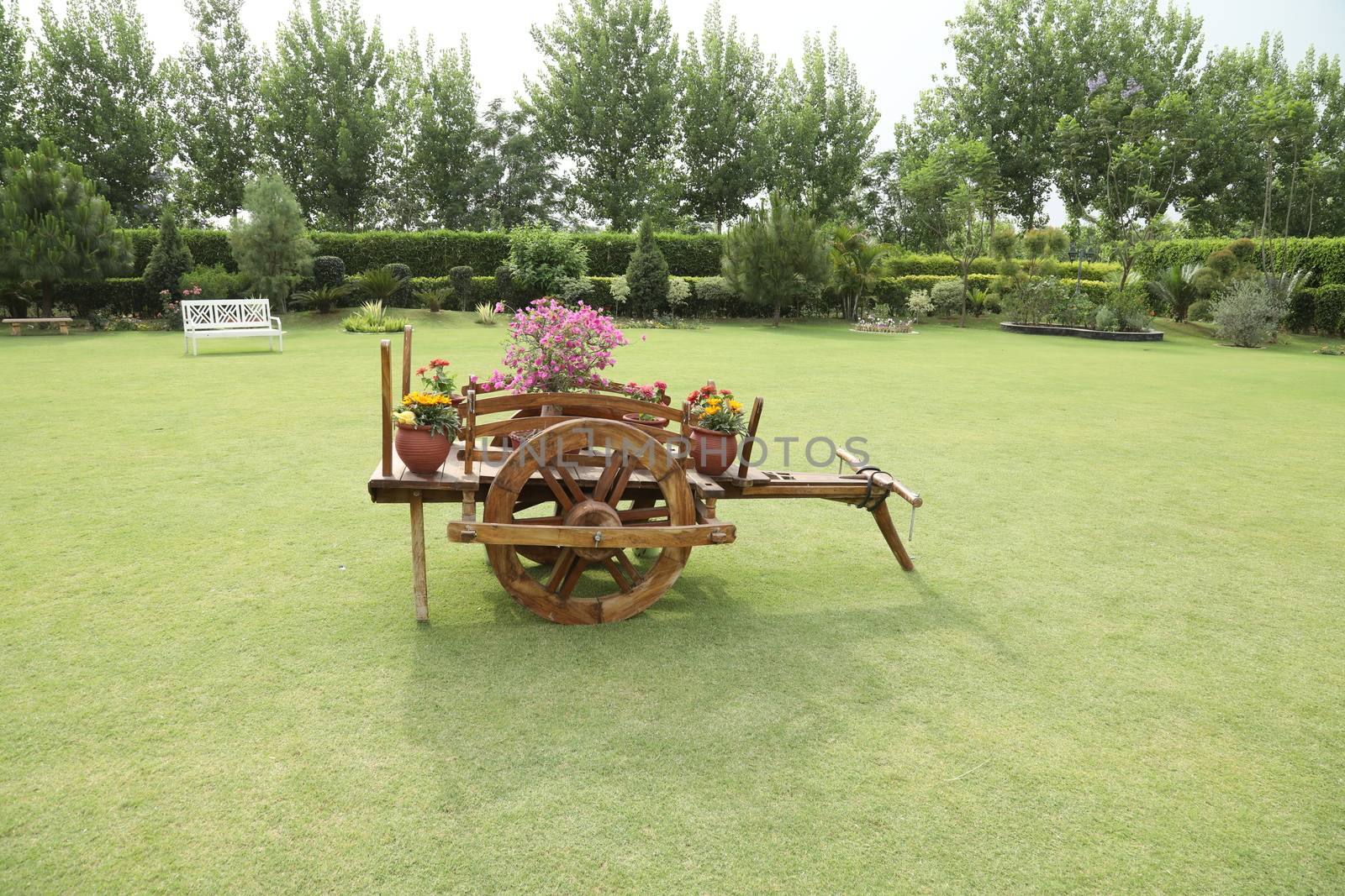 Holiday Resort India
