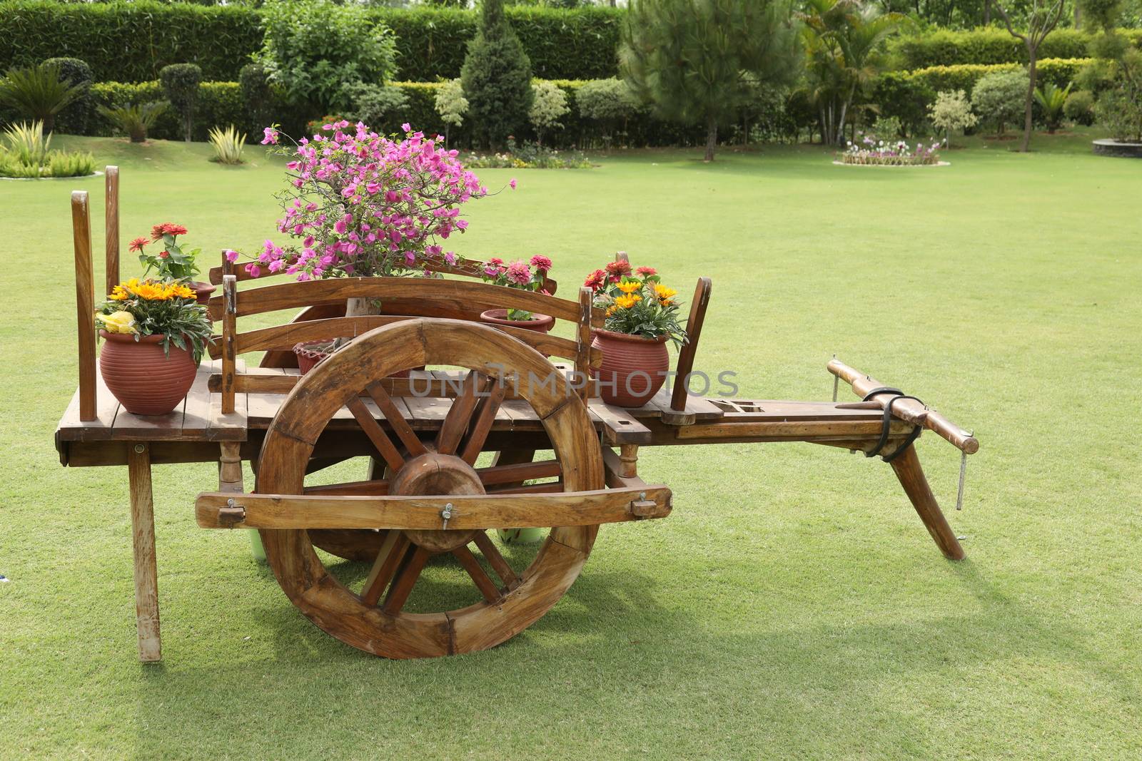 Holiday Resort India