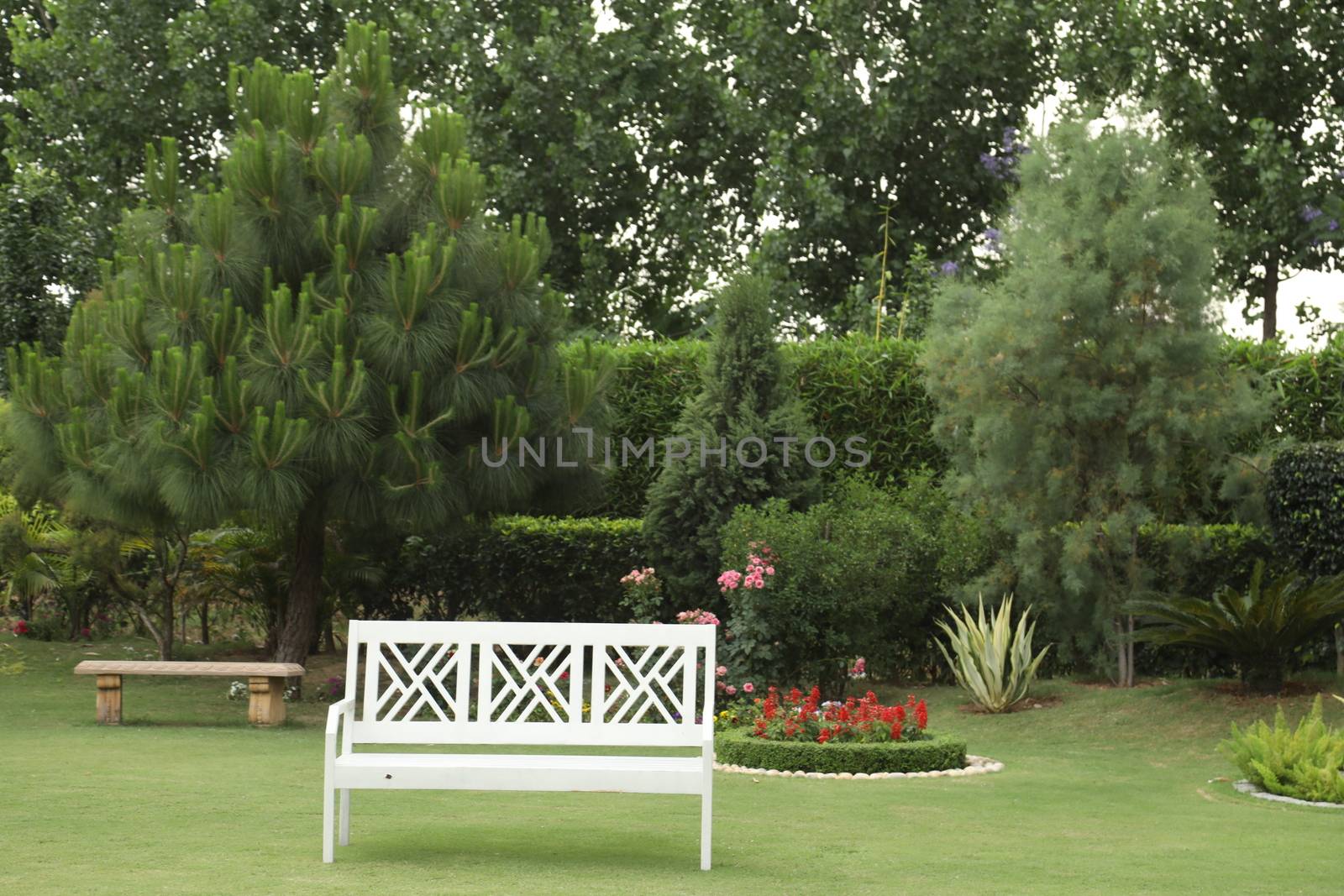 Holiday Resort India