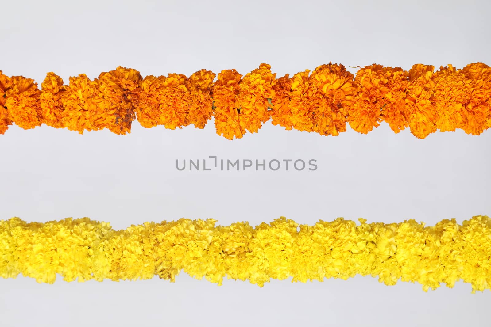 Flowers decoration at function