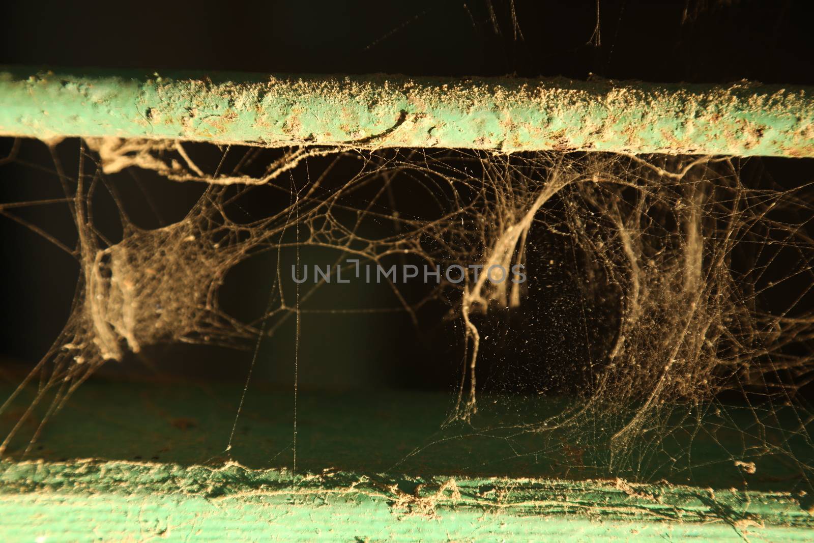 Scary Spider web