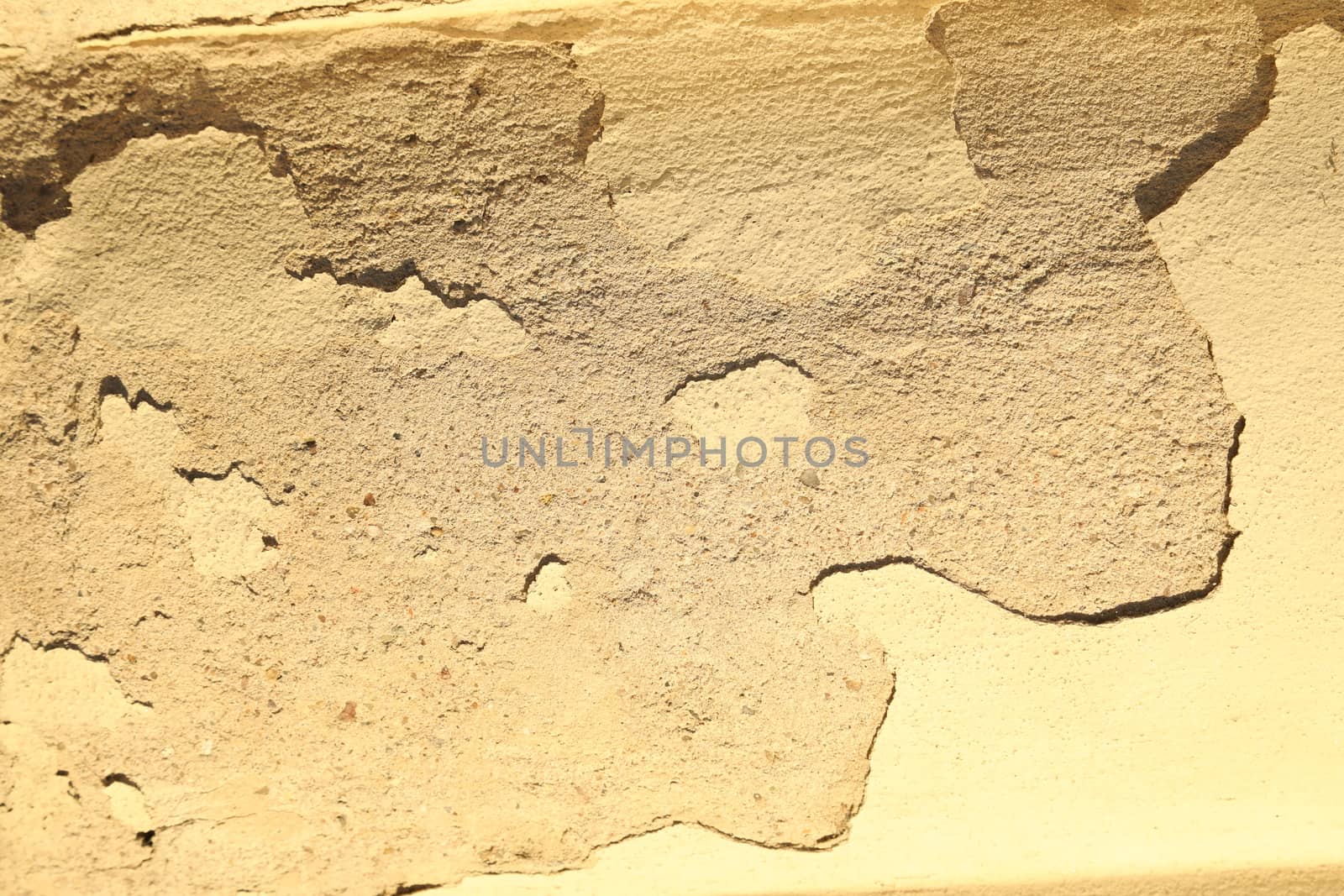 vintage fort wall Texture