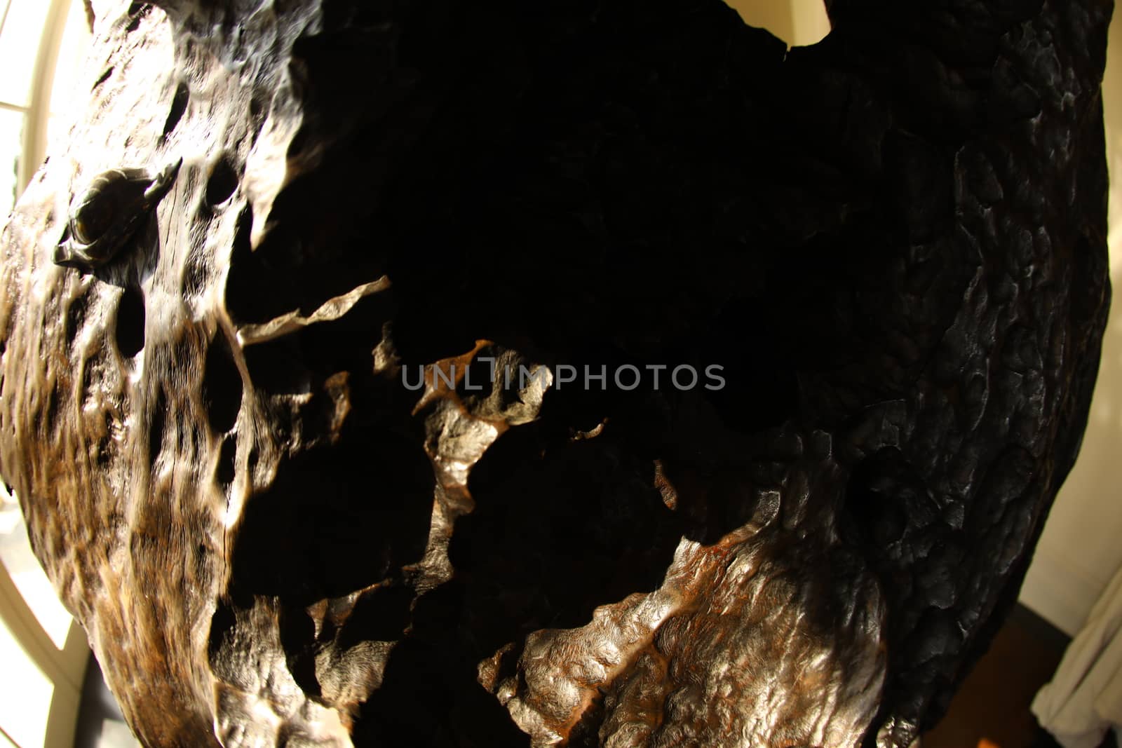 Abstract Wood Texture