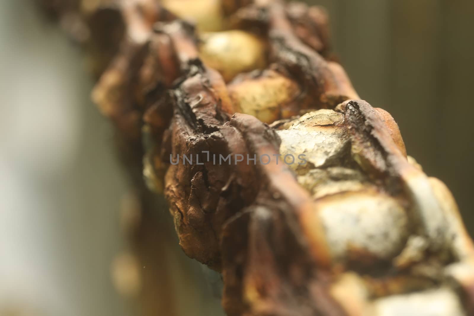 Old Metal Texture Macro shot