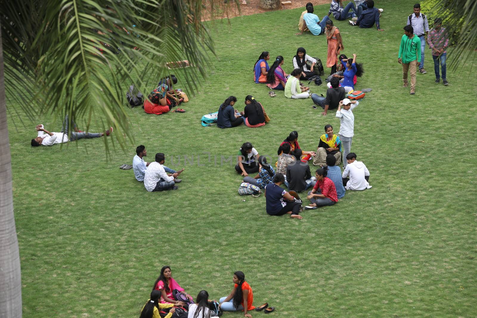 Holiday Resort India