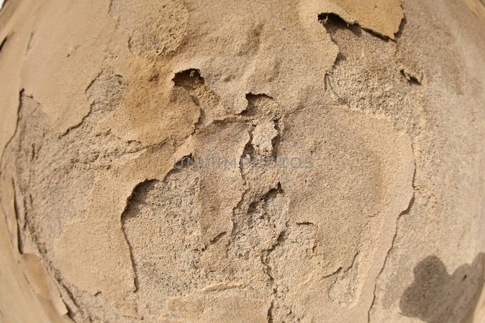 old stone wall Texture