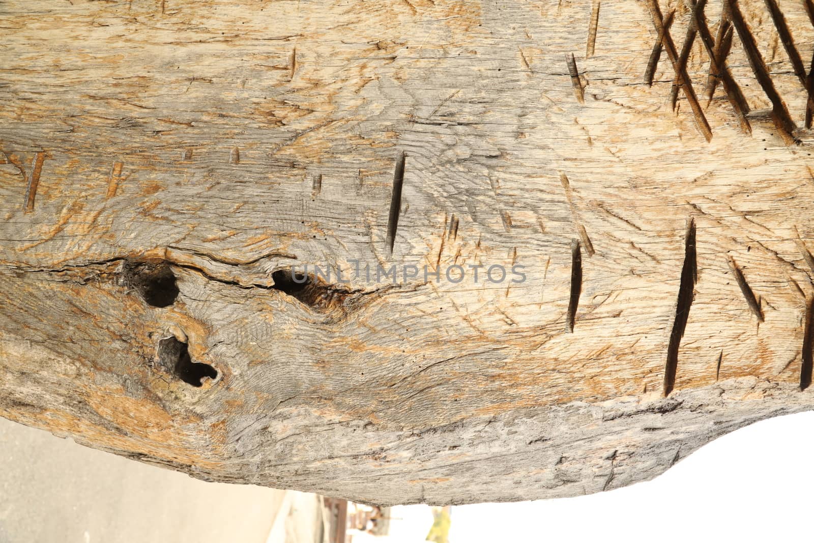 Abstract Wood Texture