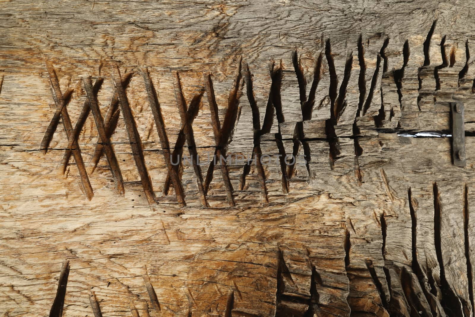 Abstract Wood Texture