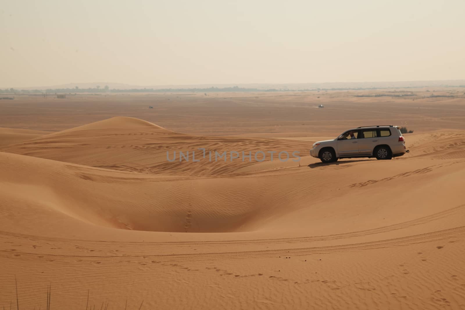 Dry sand in the desert